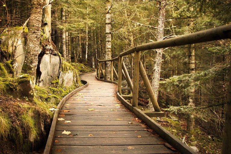 Soin énergétique Sarrebourg